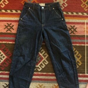 Everlane Indigo The Arc Jeans 27